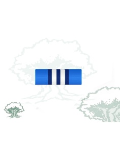 Pasador Medalla ONU (UNMIS)