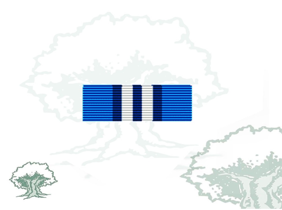 Pasador Medalla ONU (UNMIS)