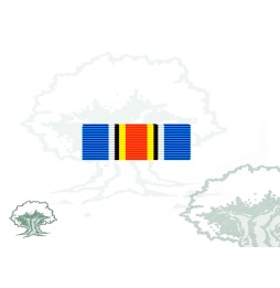 Pasador Medalla de la ONU (UNMIT)