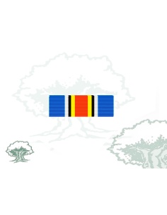 Pasador Medalla ONU (UNMIT)