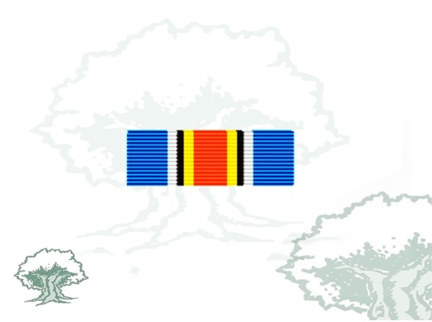 Pasador Medalla ONU (UNMIT)