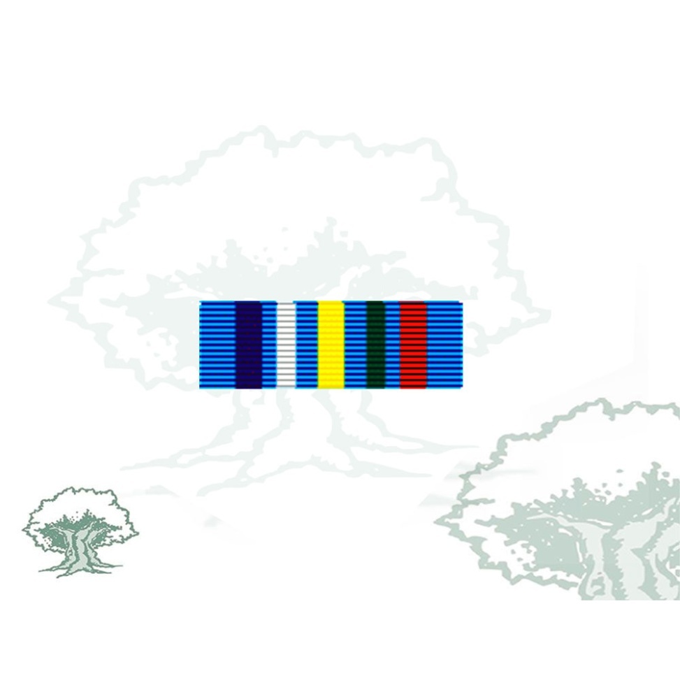 Pasador Medalla de la ONU (MINURCAT)