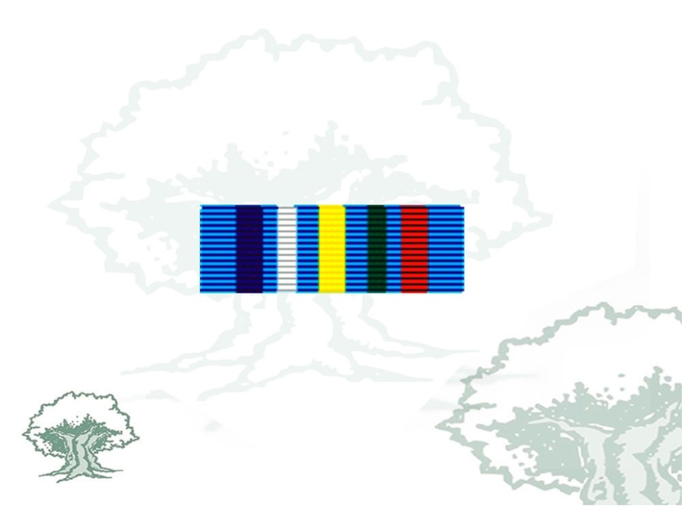 Pasador Medalla ONU (MINURCAT)