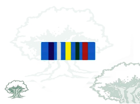 Pasador Medalla ONU (MINURCAT)