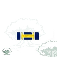 Pasador Medalla OTAN (Active Endeavour)