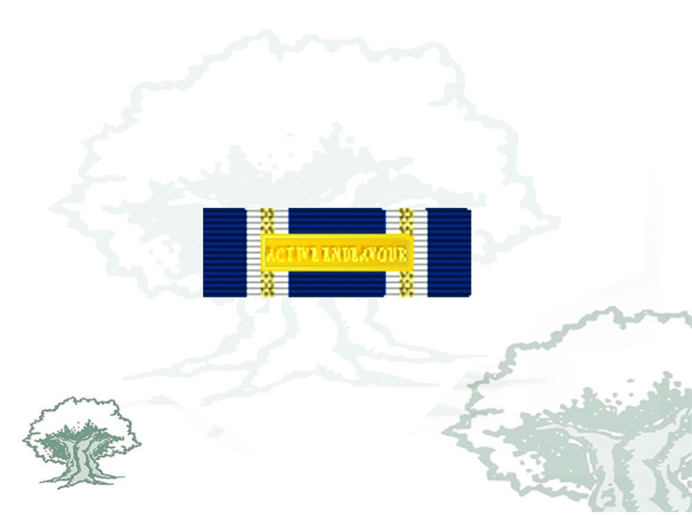 Pasador Medalla OTAN (Active Endeavour)