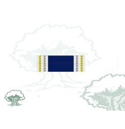 Pasador Medalla de la OTAN (Servicios Meritorios)