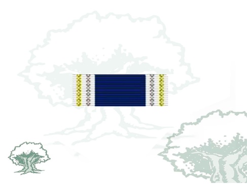 Pasador Medalla OTAN (Servicios Meritorios)