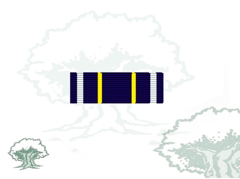 Pasador Medalla de la Union Europea para la Antigua Yugoslavia