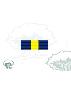 Pasador Medalla PESD (Cuartel General y Fuerzas)