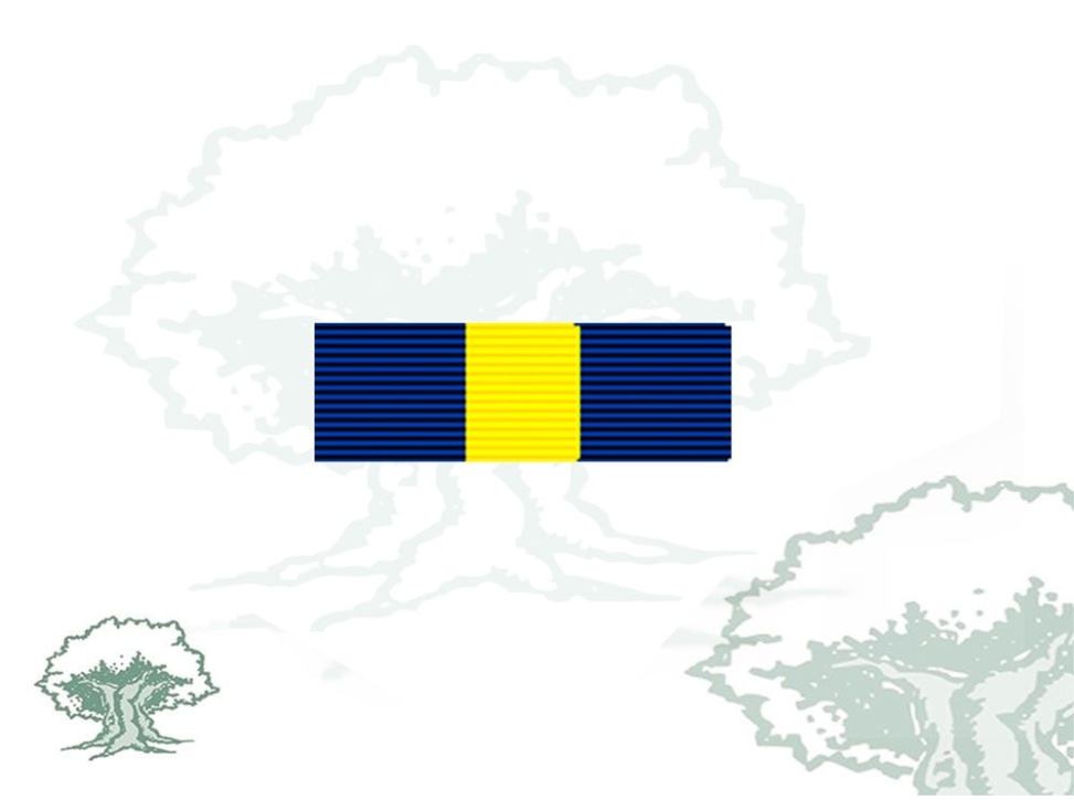 Pasador Medalla PESD (Cuartel General y Fuerzas)