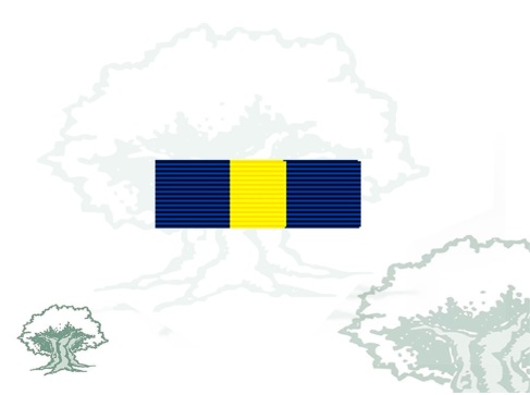 Pasador Medalla de la PESD (Cuartel General y Fuerzas)