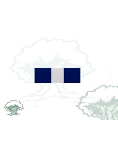 Pasador Medalla PESD (Planeamiento y Apoyo)