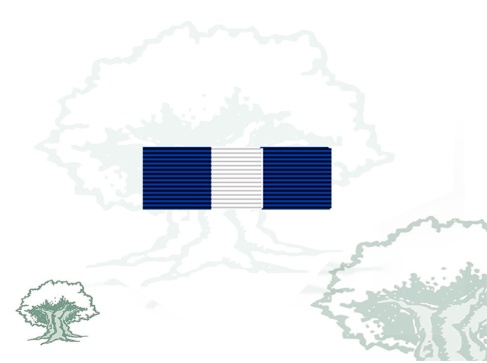 Pasador Medalla PESD (Planeamiento y Apoyo)