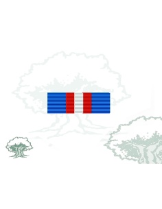 Pasador Medalla SHIRBRG