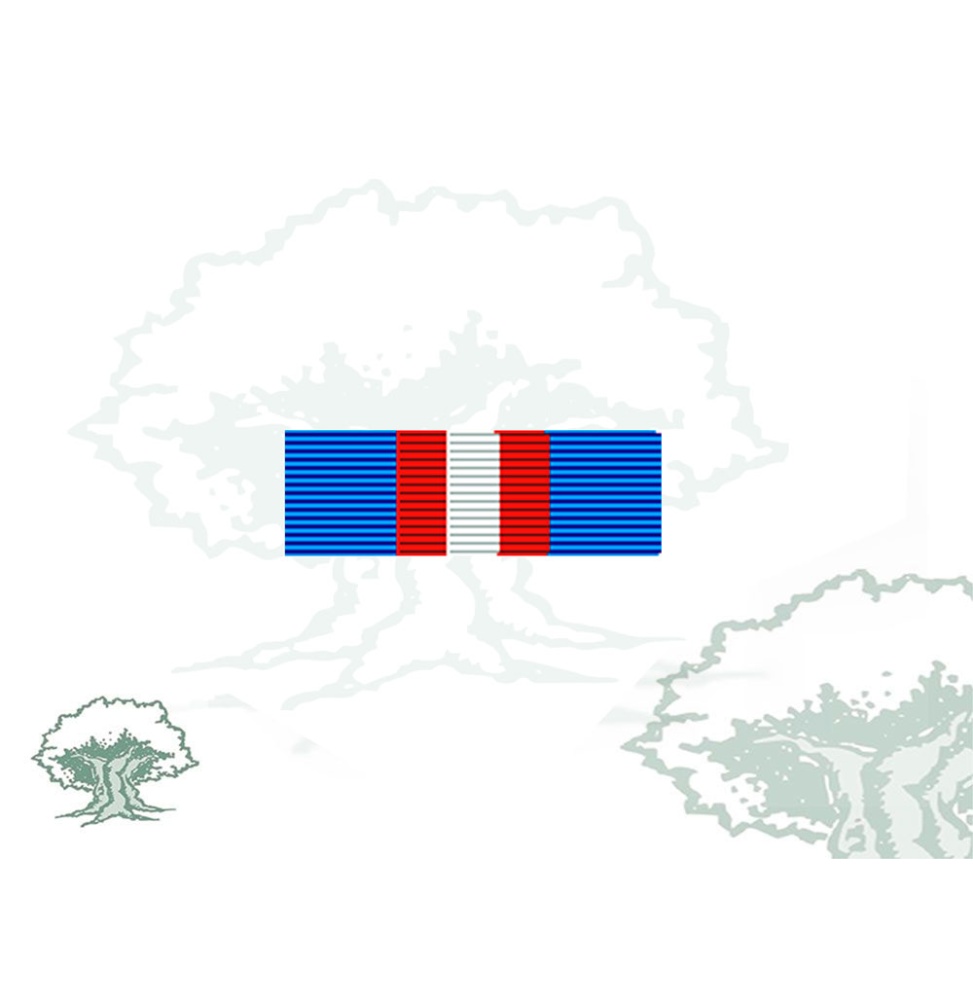 Pasador Medalla de la SHIRBRG