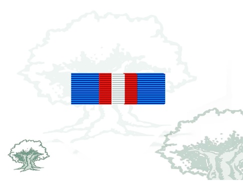 Pasador Medalla de la SHIRBRG