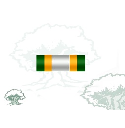 Pasador Medalla de la Union Africana