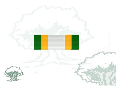 Pasador Medalla de la Union Africana