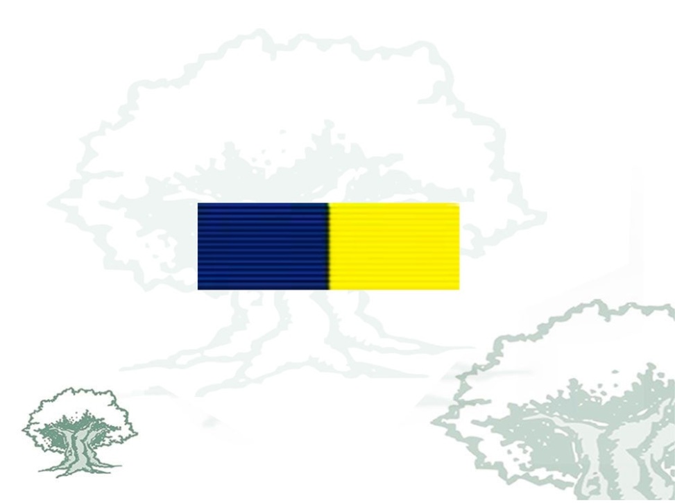 Pasador Medalla OSCE Grupo Planeamiento Alto Nivel (HLPG)