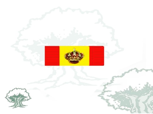 Pasador Gran Cruz del Mérito Naval distintivo blanco