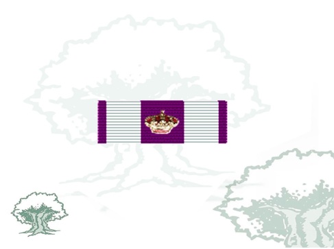 Pasador Gran Cruz de la Cruz Fidelitas