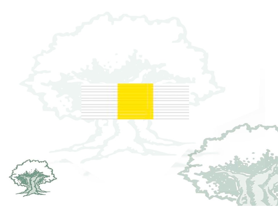 Pasador Cruz Constancia en el Servicio Suboficiales Rodmen escalable