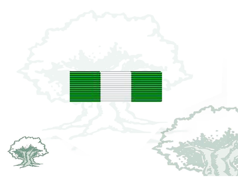 Pasador Cruz Orden Mérito Guardia Civil distintivo blanco Rodmen escalable