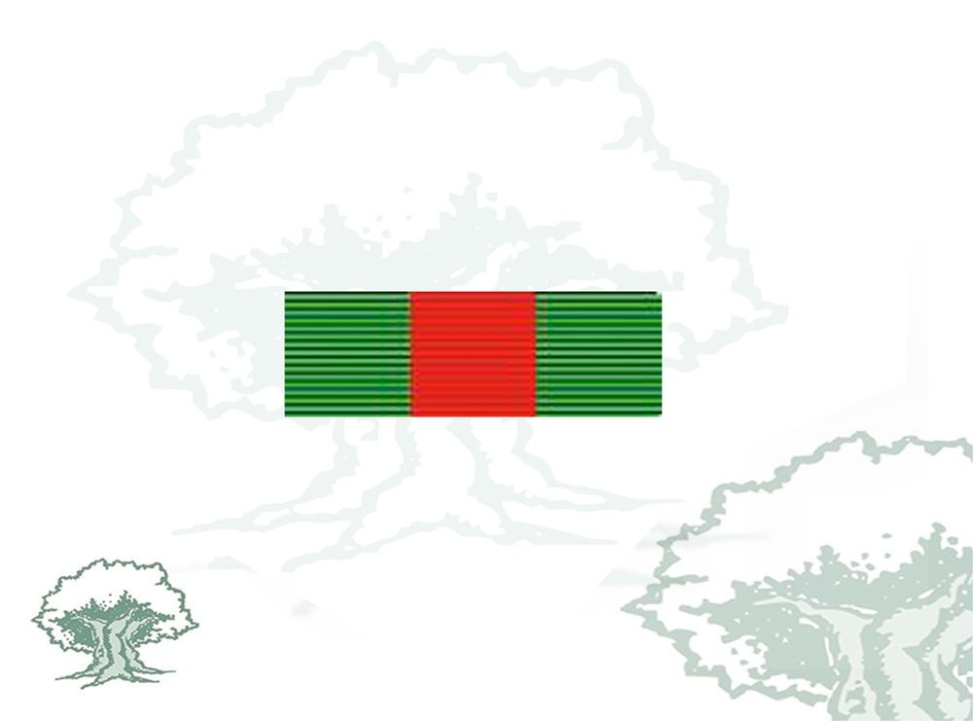Pasador Cruz Orden Mérito Guardia Civil distintivo rojo