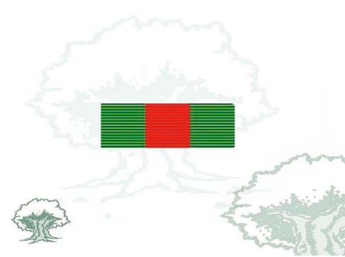 Pasador Cruz Orden Mérito Guardia Civil distintivo rojo