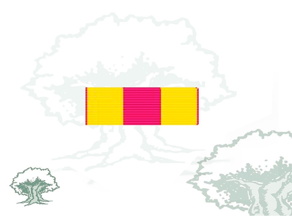 Pasador Cruz Bronce Constancia en el Servicio Rodmen escalable