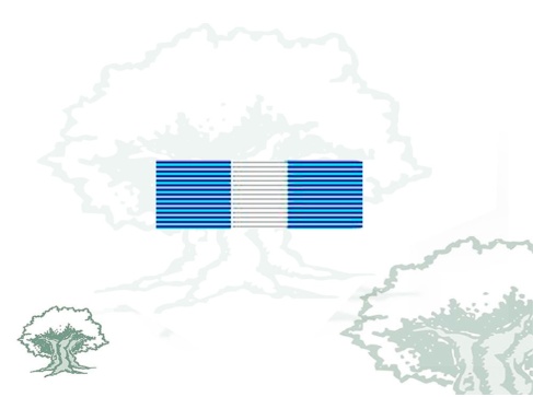 Pasador Cruz de Guerra Rodmen escalable Pasador Cruz de Guerra Rodmen escalable