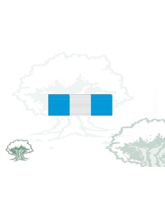 Pasador Cruz Orden de Carlos III