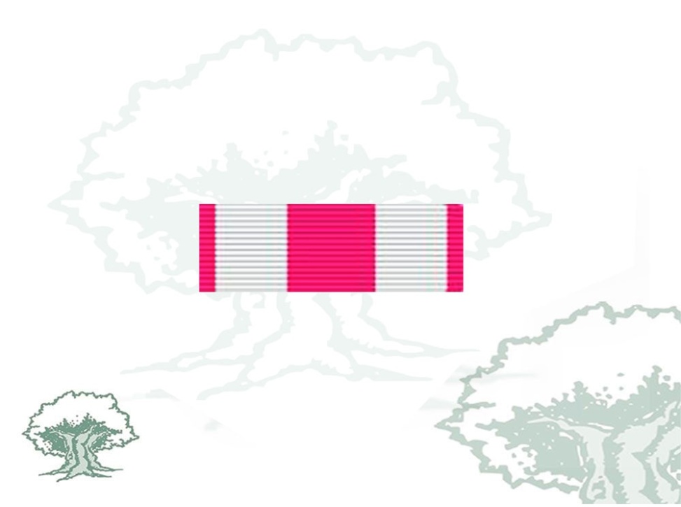 Pasador Cruz Real y Militar Orden de San Hermenegildo Rodmen escalable