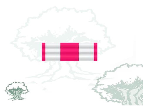 Pasador Cruz Real y Militar Orden de San Hermenegildo Rodmen escalable