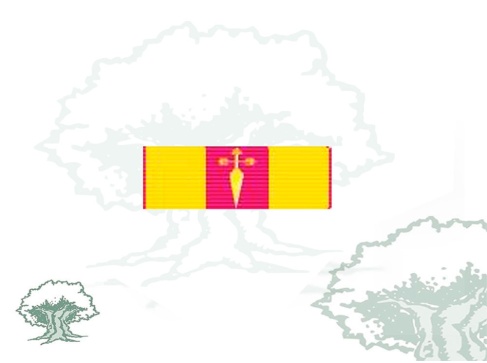 Pasador Cruz de Oro a la Constancia en el Servicio Rodmen escalable