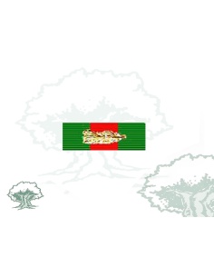 Pasador Cruz de Oro Orden Mérito Guardia Civil Rodmen escalable