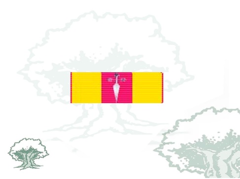 Pasador Cruz de Plata Constancia en el Servicio Rodmen escalable