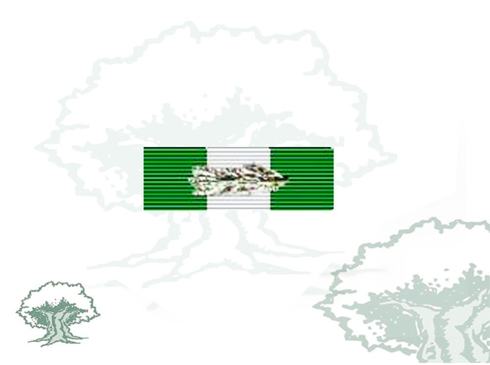 Pasador Cruz de Plata Orden Mérito Guardia Civil Rodmen escalable