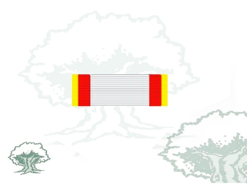 Pasador Cruz del Mérito Aeronautico distintivo amarillo Rodmen escalable