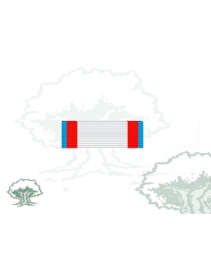 Pasador Cruz Mérito Aeronautico distintivo azul Rodmen escalable