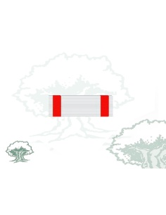 Pasador Cruz Mérito Aeronautico distintivo blanco Rodmen escalable