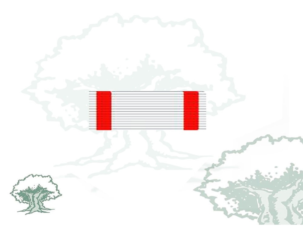 Pasador Cruz Mérito Aeronautico distintivo blanco Rodmen escalable