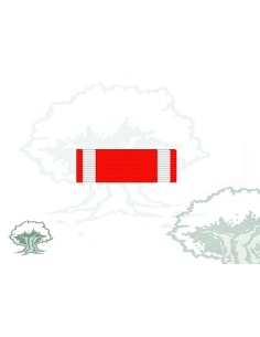 Pasador Cruz Mérito Aeronautico distintivo rojo Rodmen escalable