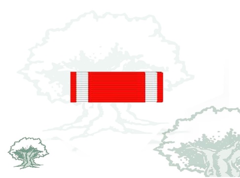 Pasador Cruz del Mérito Aeronautico distintivo rojo Rodmen escalable