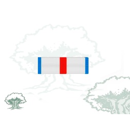Pasador Cruz del Mérito Militar distintivo azul Rodmen escalable