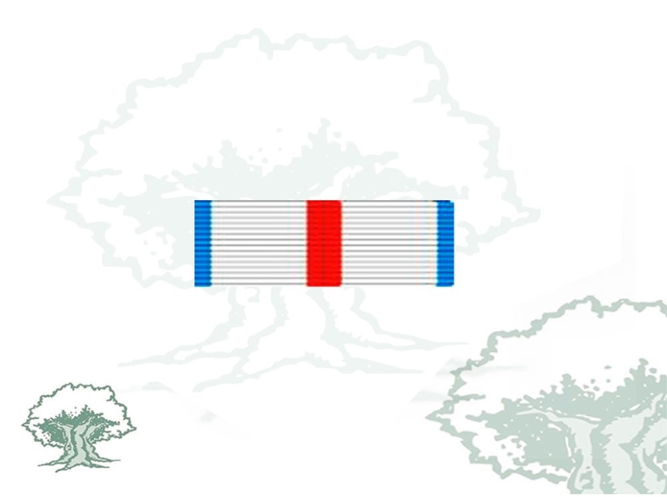 Pasador Cruz Mérito Militar distintivo azul Rodmen escalable