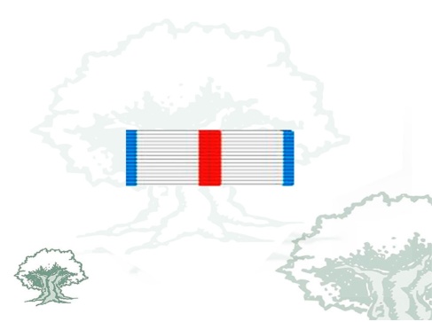 Pasador Cruz del Mérito Militar distintivo azul Rodmen escalable