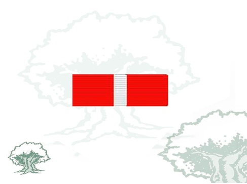 Pasador Cruz del Mérito Militar distintivo rojo Rodmen escalable