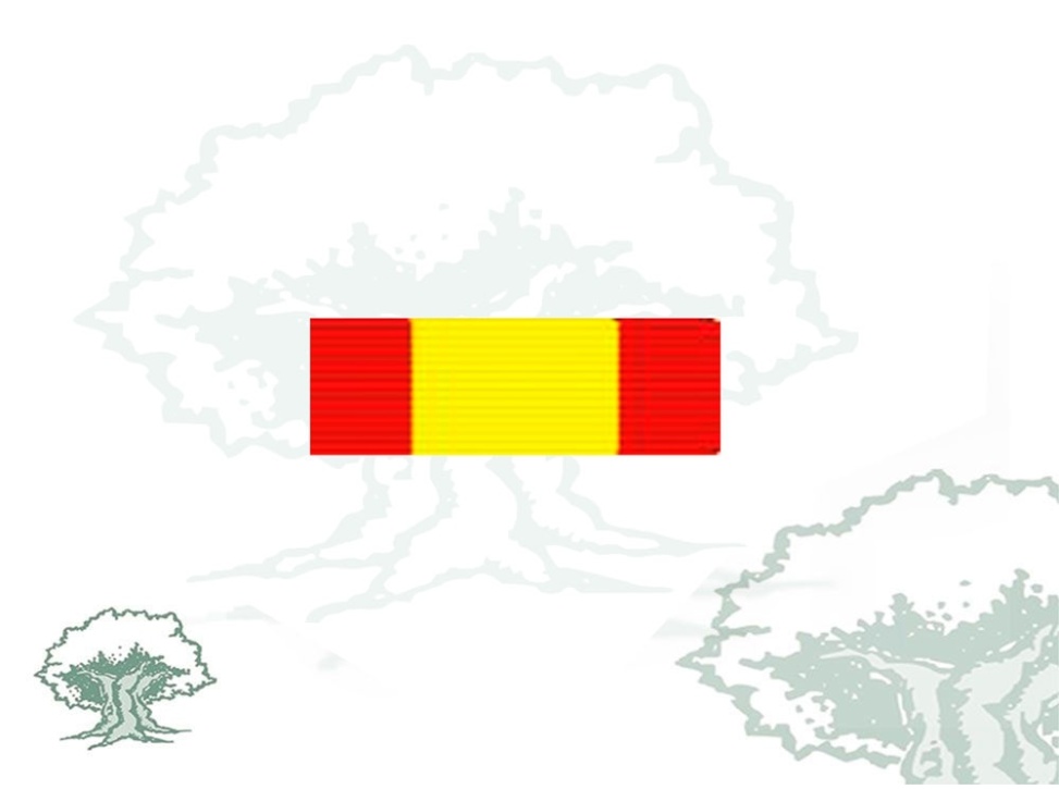 Pasador Cruz del Mérito Naval distintivo blanco